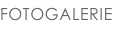 shapeimage_1_link_5
